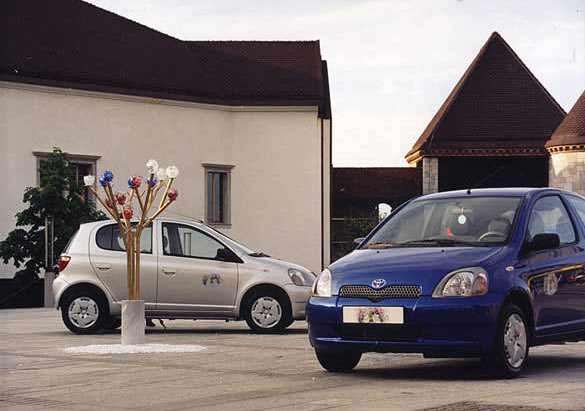 Fairy Installation 3